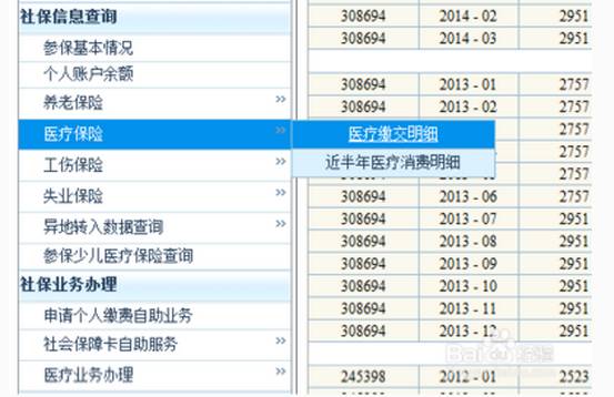 2024澳门开奖结果记录,快速设计问题策略_V39.257