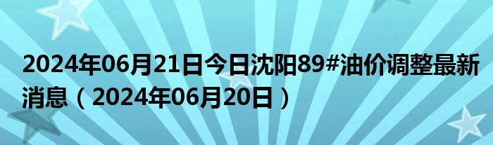 沈阳油价最新动态，市场走势及影响因素深度解析